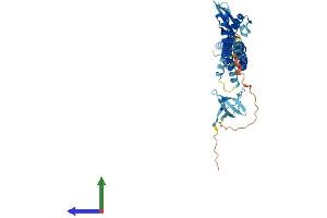 Protein Structure (PS) image for Nitric Oxide Synthase Trafficker (NOSTRIN) (AA 1-506) protein (His tag) (ABIN7558125)