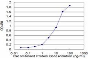 Detection limit for recombinant GST tagged HLA-DMB is approximately 0. (HLA-DMB Antikörper  (AA 22-129))