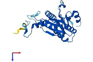 PSMA5 Protein (AA 1-241) (His tag)
