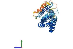 Protein Structure (PS) image for Tetraspanin 26 (TSPAN26) (AA 1-281) protein (His tag) (ABIN7553221)