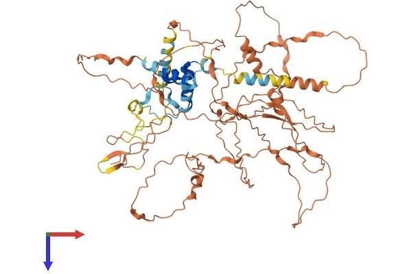 FBXO46 Protein (AA 1-603) (His tag)