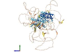 AlphaFold protein structure predicition of Mouse Recombinant Fnip1 Protein, UniprotID Q68FD7