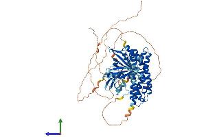 AlphaFold protein structure predicition of Mouse Recombinant Spata13 Protein, UniprotID Q5DU57