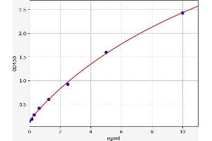 TNFRSF10A ELISA Kit