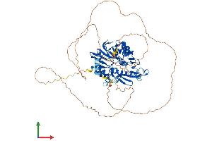 Protein Structure (PS) image for DNA Cross-Link Repair 1C (DCLRE1C) (AA 1-692) protein (His tag) (ABIN7553636)