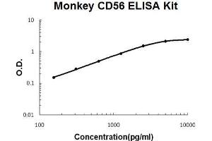 Monkey Primate CD56/NCAM-1 PicoKine ELISA Kit standard curve (CD56 ELISA Kit)