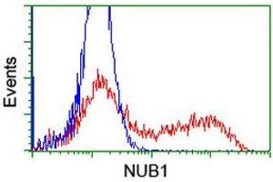 Image no. 6 for anti-Negative Regulator of Ubiquitin-Like Proteins 1 (NUB1) (AA 1-326) antibody (ABIN1490743)