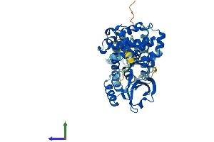 Protein Structure (PS) image for Mixed Lineage Kinase Domain-Like (MLKL) (AA 1-472) protein (His tag) (ABIN7560928)