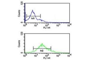 Flow Cytometry (FACS) image for anti-H3 Histone, Family 3A (H3F3A) (Lys9) antibody (ABIN3031135)