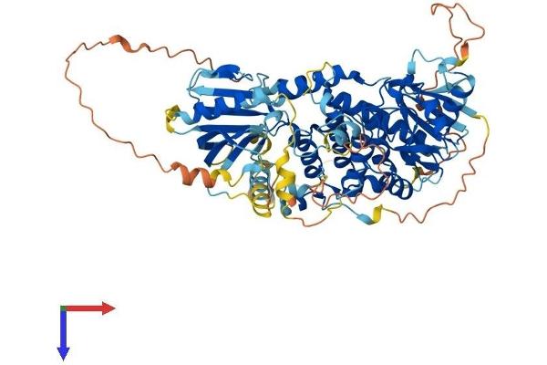 MTMR11 Protein (AA 1-700) (His tag)