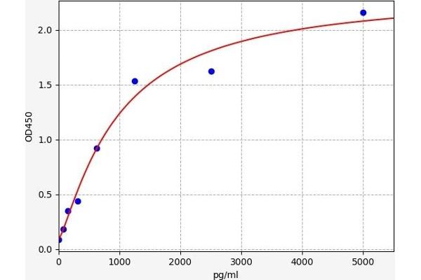 AKT3 ELISA Kit