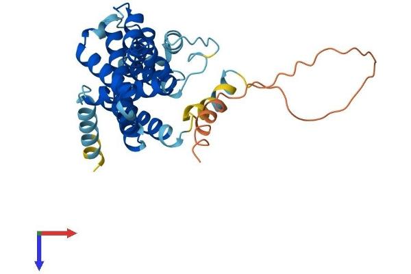 TMEM38A Protein (AA 1-299) (His tag)