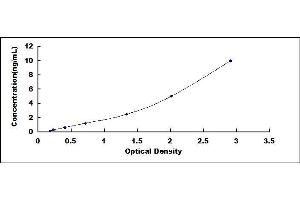 Typical standard curve (SLC7A11 ELISA Kit)