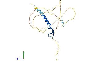 AlphaFold protein structure predicition of Mouse Recombinant Bcl7a Protein, UniprotID Q9CXE2