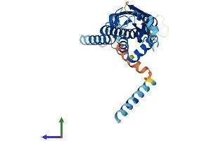 AlphaFold protein structure predicition of Human Recombinant CENPP Protein, UniprotID Q6IPU0