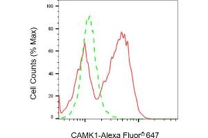 Flow cytometric analysis of CAMK1 expression in HeLa cells using CAMK1 antibody ( (ABIN7797831), 1:2,000). (Rekombinanter CAMK1 Antikörper)