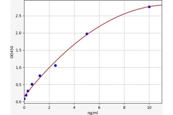 CAMK2A ELISA Kit