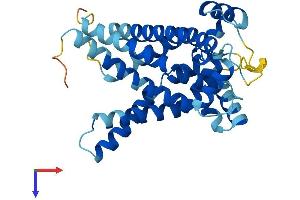 SLC25A17 Protein (AA 1-307) (His tag)