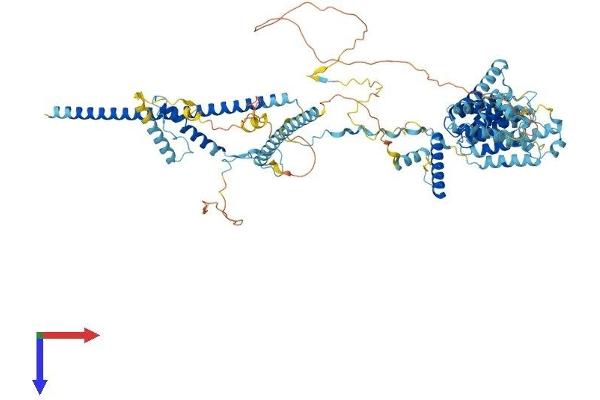 Nop14 Protein (AA 1-857) (His tag)