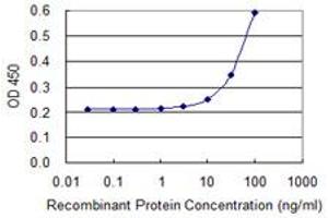 Detection limit for recombinant GST tagged MNDA is 3 ng/ml as a capture antibody. (MNDA Antikörper  (AA 311-407))