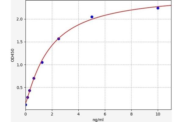 Pleckstrin ELISA Kit