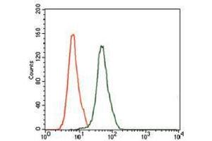 Flow cytometric analysis of HeLa cells using MAPK8 mouse mAb (green) and negative control (red). (JNK Antikörper)