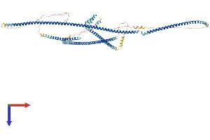 GCC1 Protein (AA 1-778) (His tag)