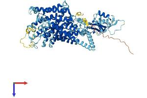 CLCN4 Protein (AA 1-760) (His tag)