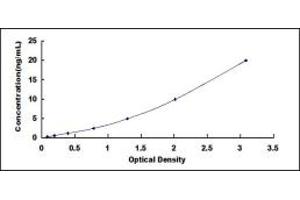 Typical standard curve (KIF18A ELISA Kit)