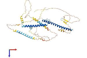 MITF Protein (AA 1-526) (His tag)