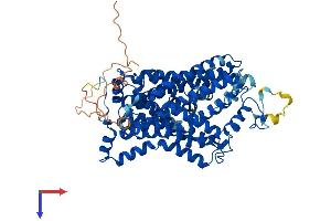 SLC6A11 Protein (AA 1-627) (His tag)
