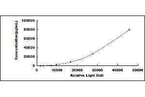 Typical standard curve (CTGF CLIA Kit)