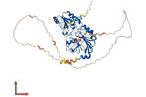 Protein Structure (PS) image for DNA Cross-Link Repair 1B (DCLRE1B) (AA 1-541) protein (His tag) (ABIN7564524)