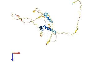 FRAT1 Protein (AA 1-279) (His tag)