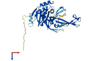 USP12 Protein (AA 1-370) (His tag)