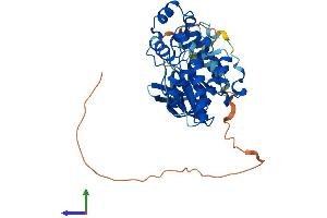 AlphaFold protein structure predicition of Human Recombinant MAPK8 Protein, UniprotID P45983
