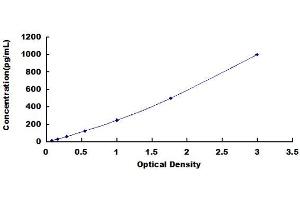 Growth Differentiation Factor 11 (GDF11) ELISA Kit