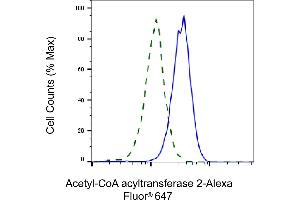 Validation of Acetyl-CoA acyltransferase 2 knockdown using flow cytometry. (Rekombinanter ACAA2 Antikörper)
