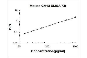 Carbonic Anhydrase 12 (CA12) ELISA Kit