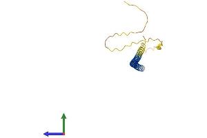 Protein Structure (PS) image for CCAAT/enhancer Binding Protein (C/EBP), gamma (CEBPG) (AA 1-150) protein (His tag) (ABIN7553120)