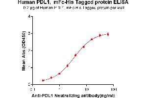ELISA plate pre-coated by 2 μg/mL (100 μL/well) Human PD-L1, mFc-His tagged protein ABIN6961096, ABIN7042221 and ABIN7042222 can bind Anti- Neutralizing antibody ABIN6964422 and ABIN7272558 in a linear range of 0. (PD-L1 Protein (AA 19-238) (mFc-His Tag))