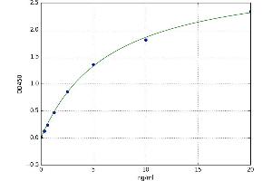 A typical standard curve
