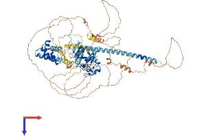 PHF15 Protein (AA 1-829) (His tag)