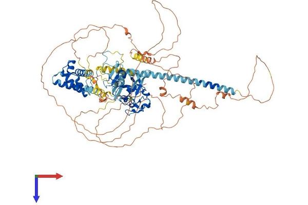 PHF15 Protein (AA 1-829) (His tag)