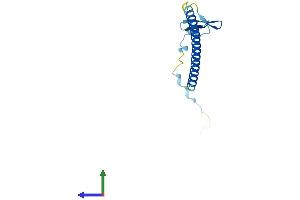 Protein Structure (PS) image for Chibby Homolog 1 (CBY1) (AA 1-127) protein (His tag) (ABIN7560875)