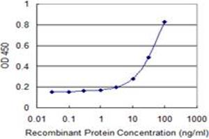 Detection limit for recombinant GST tagged ACSS2 is 1 ng/ml as a capture antibody. (ACSS2 Antikörper  (AA 32-130))