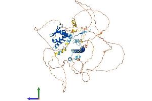 Protein Structure (PS) image for BTB and CNC Homology 1, Basic Leucine Zipper Transcription Factor 1 (BACH1) (AA 1-739) protein (His tag) (ABIN7556776)
