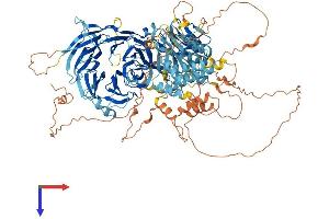 AlphaFold protein structure predicition of Human Recombinant WDR72 Protein, UniprotID Q3MJ13
