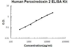 Human Peroxiredoxin 2 PicoKine ELISA Kit standard curve (Peroxiredoxin 2 ELISA Kit)
