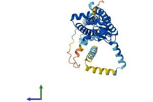 AlphaFold protein structure predicition of Human Recombinant ZDHHC4 Protein, UniprotID Q9NPG8